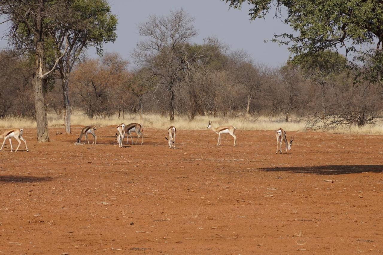 Kwele Game Lodge Beauty Exterior foto