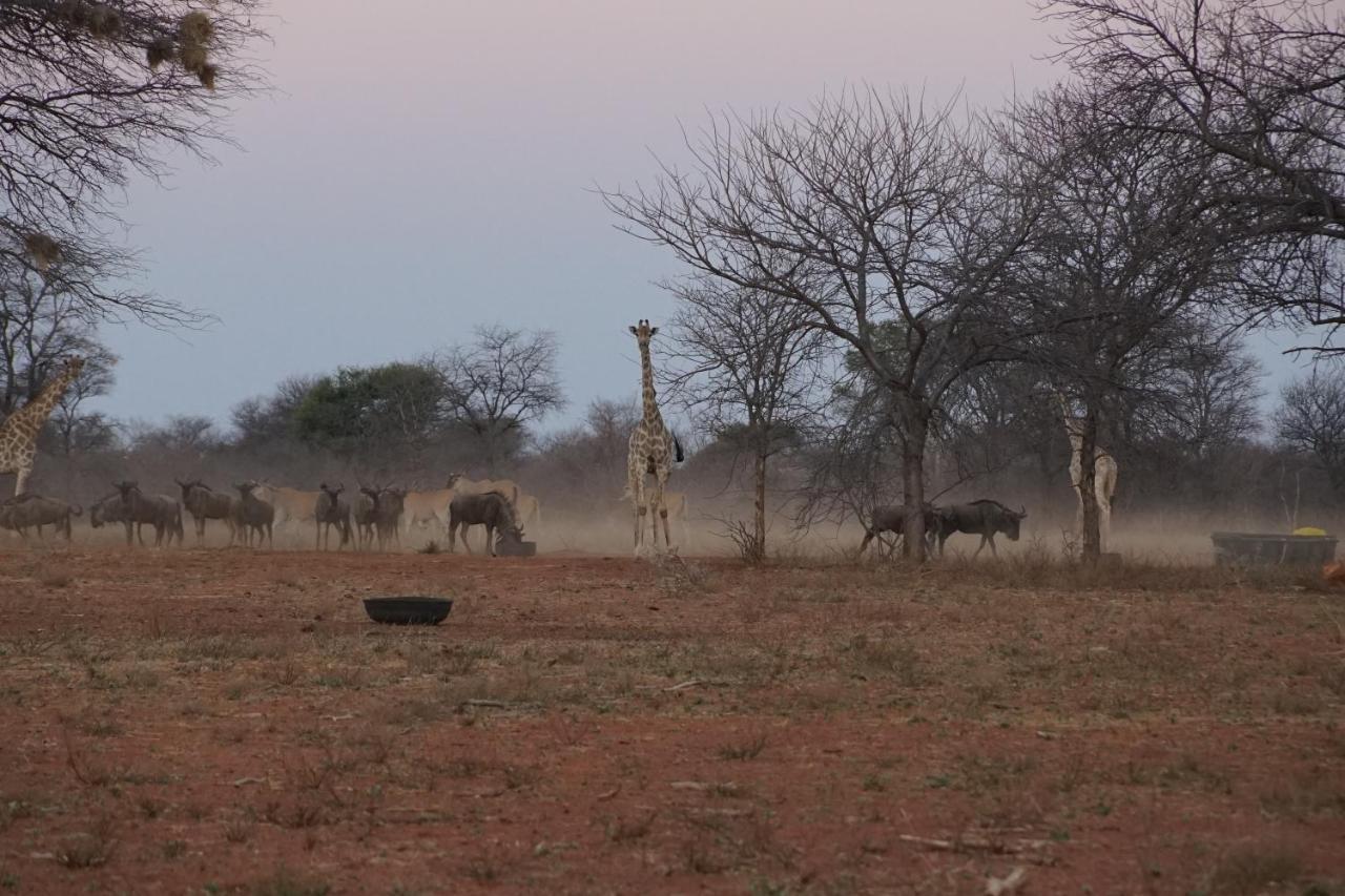 Kwele Game Lodge Beauty Exterior foto