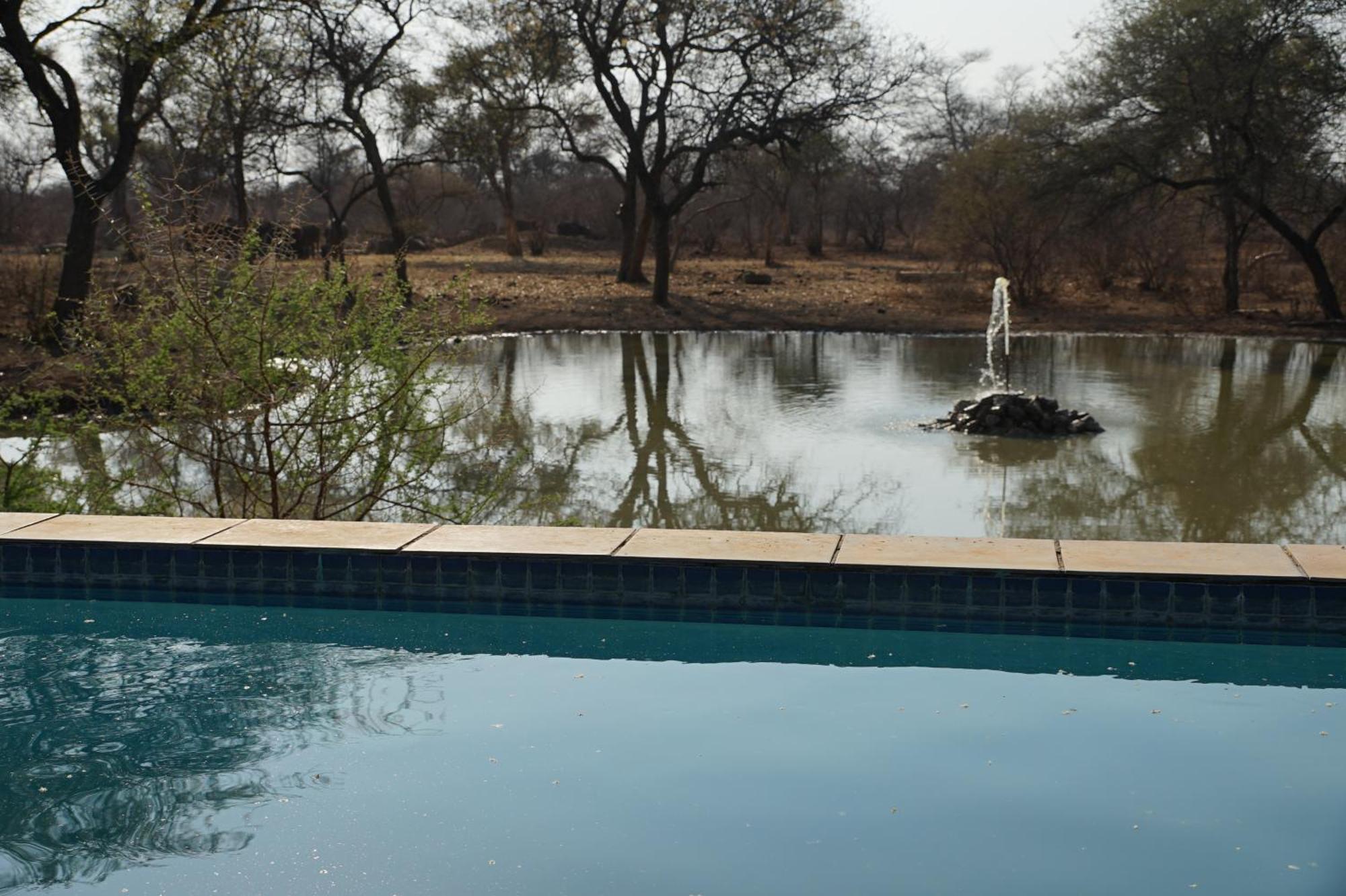 Kwele Game Lodge Beauty Exterior foto
