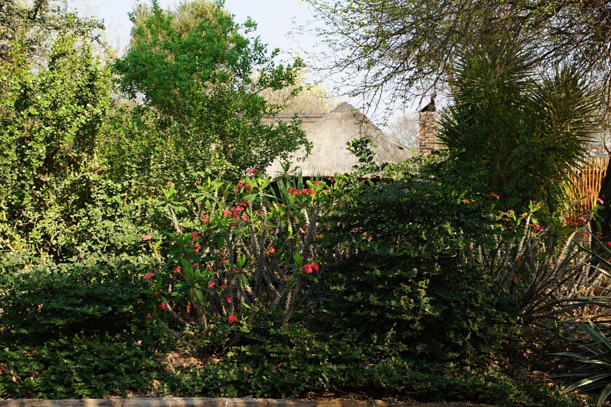 Kwele Game Lodge Beauty Exterior foto